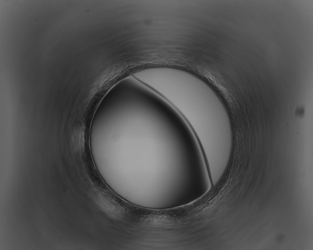 X0000095680685200801081103
