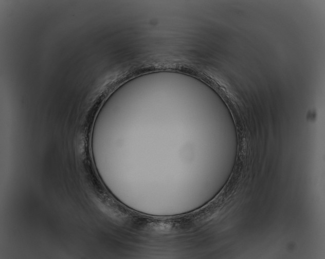 X0000095680687200801081103