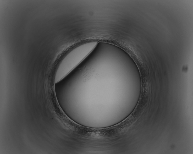 X0000095680688200801081103
