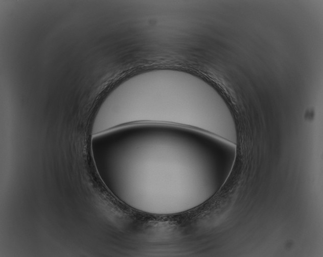 X0000095680689200801081103