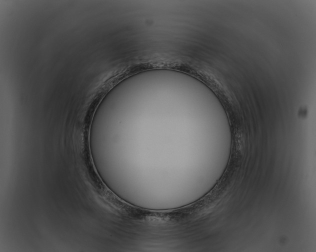 X0000095680690200801081103