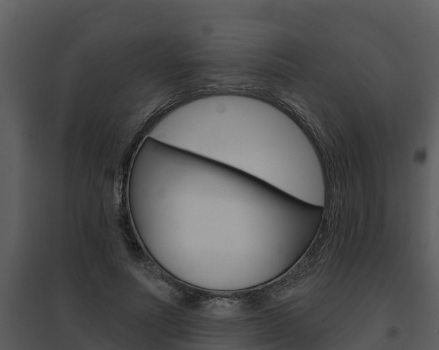 X0000095680691200801081103
