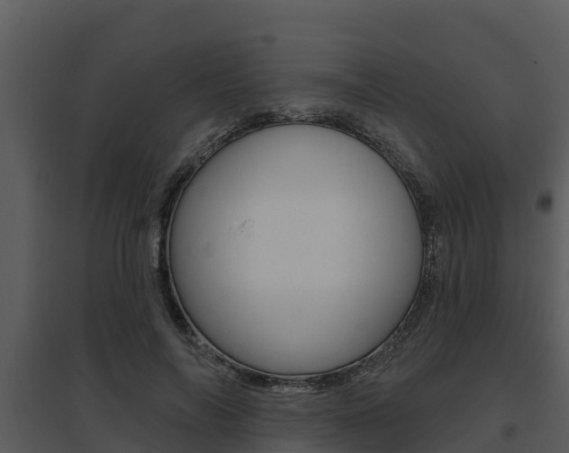 X0000095680694200801081103
