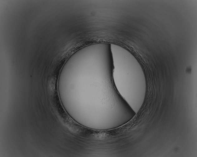 X0000095680695200801081103