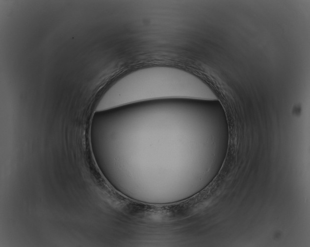 X0000095680696200801081103
