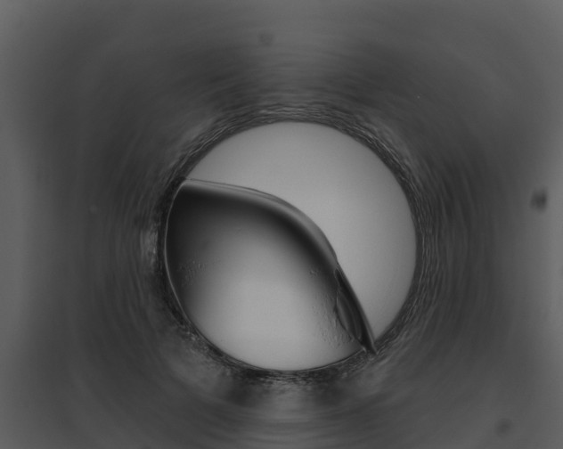 X0000095680697200801081103