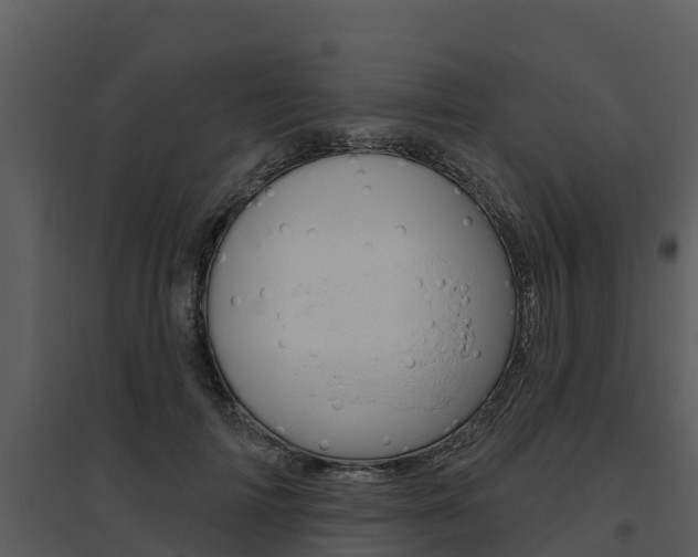 X0000095680698200801081103