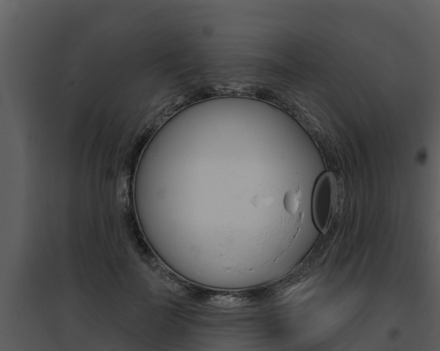 X0000095680699200801081103