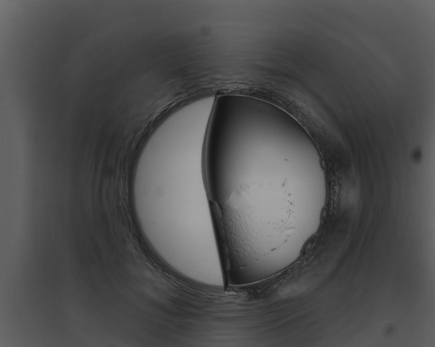 X0000095680700200801081103