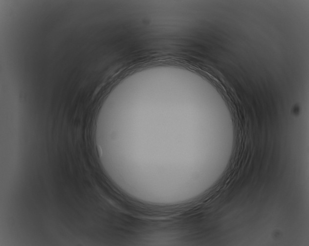 X0000095680701200801081103