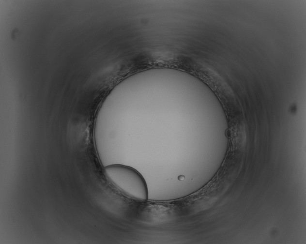 X0000095680703200801081103