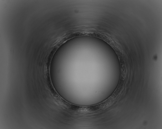 X0000095680704200801081103