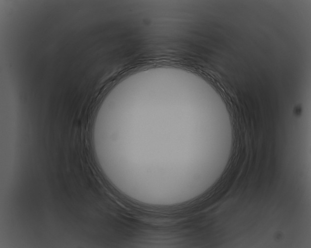 X0000095680705200801081103