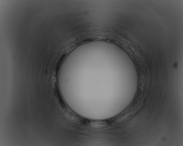 X0000095680707200801081103