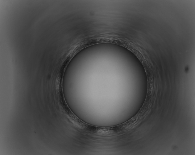 X0000095680708200801081103