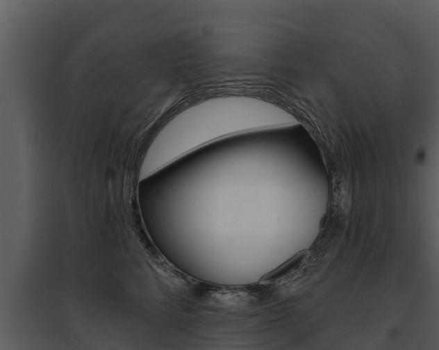X0000095680712200801081103