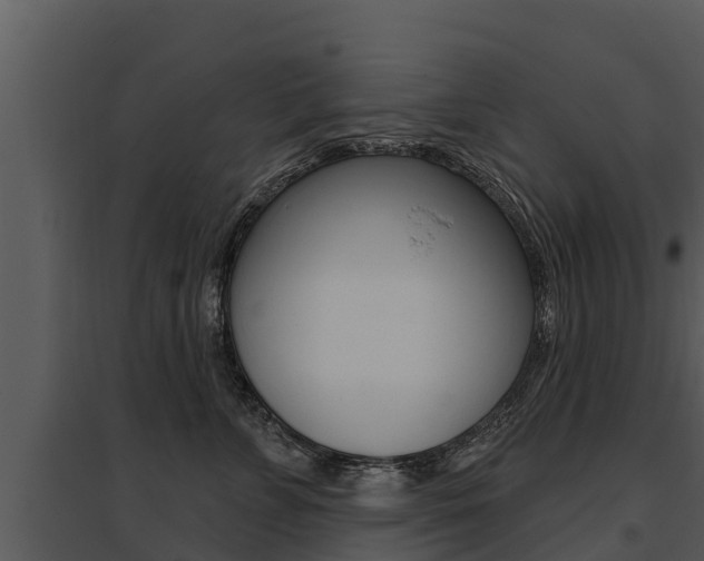 X0000095680715200801081103
