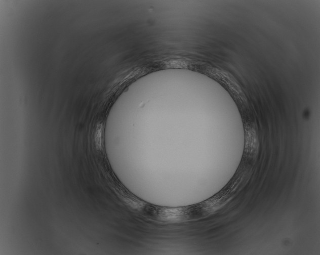 X0000095680717200801081103