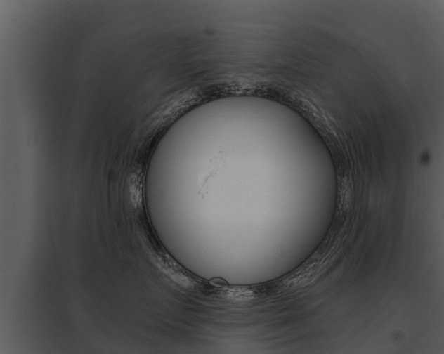 X0000095680719200801081103