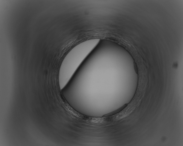 X0000095680720200801081102