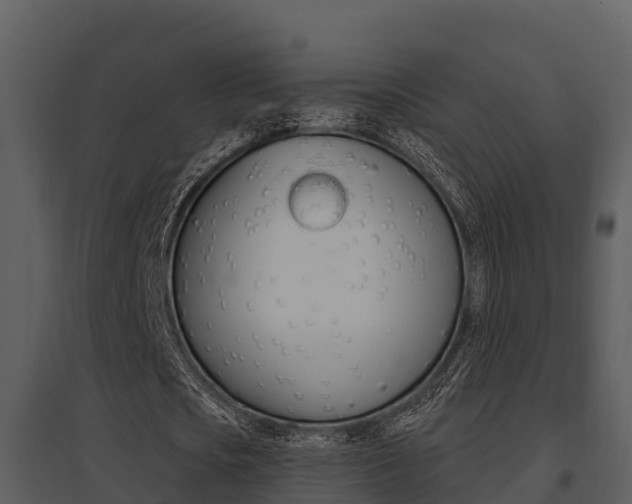 X0000095680721200801081102