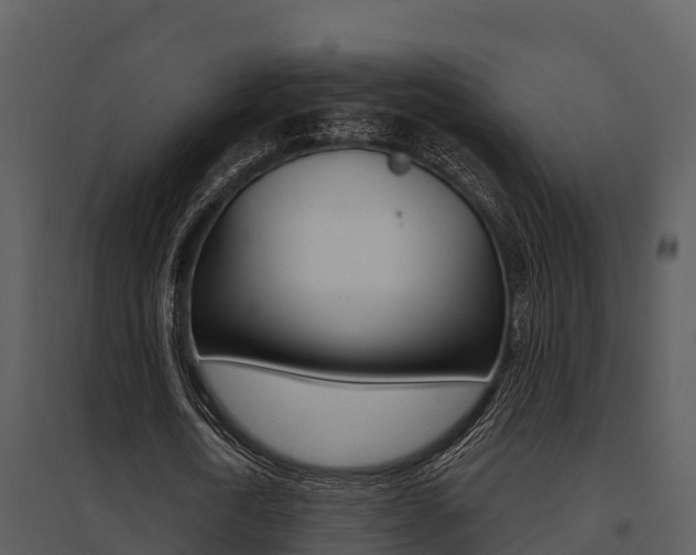 X0000095680722200801081102