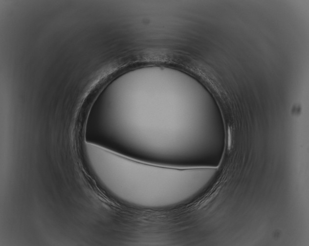 X0000095680723200801081102
