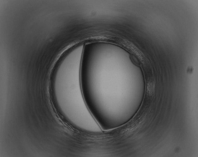 X0000095680724200801081102