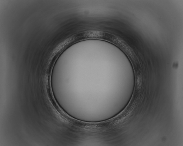 X0000095680725200801081102