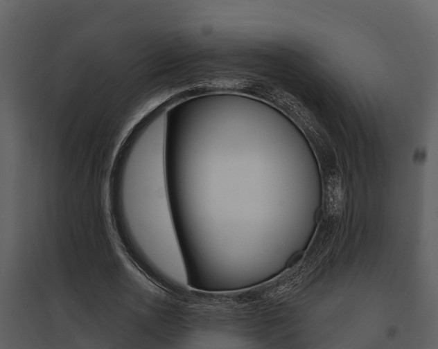 X0000095680726200801081102