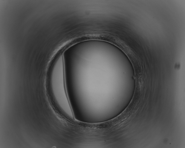 X0000095680728200801081102