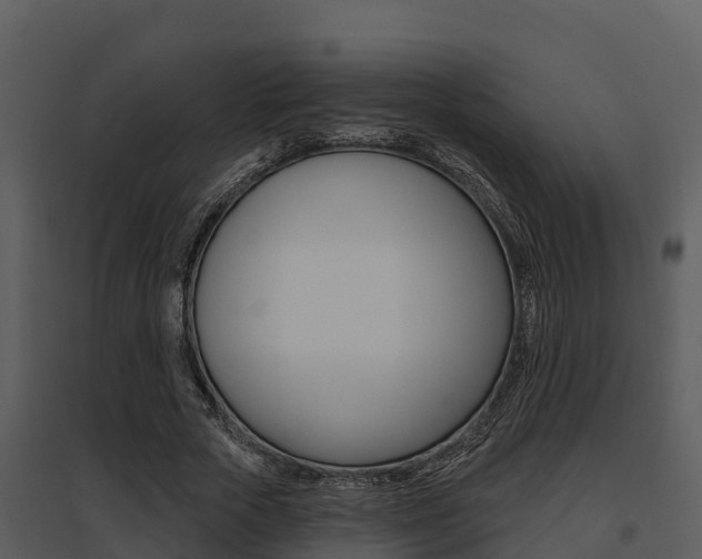 X0000095680729200801081102