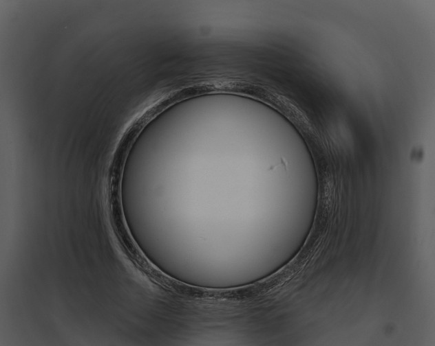 X0000095680730200801081102