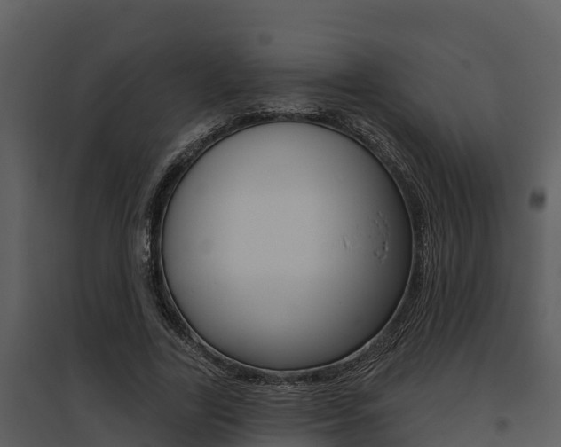 X0000095680731200801081102