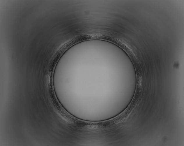 X0000095680733200801081102
