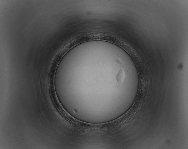 X0000095680734200801081102