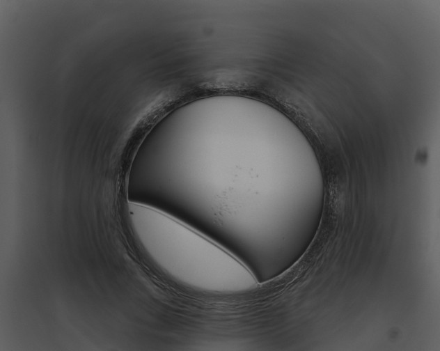 X0000095680735200801081102