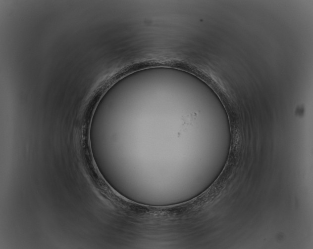 X0000095680736200801081102