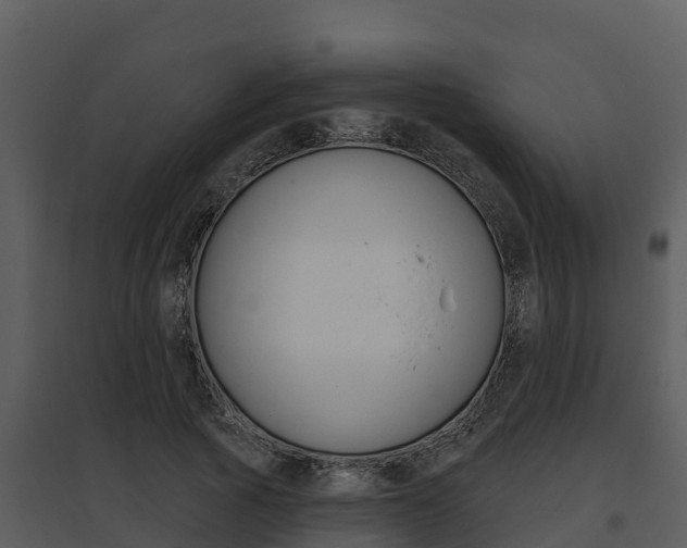 X0000095680737200801081102