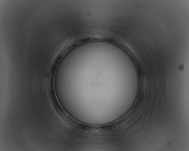 X0000095680738200801081102