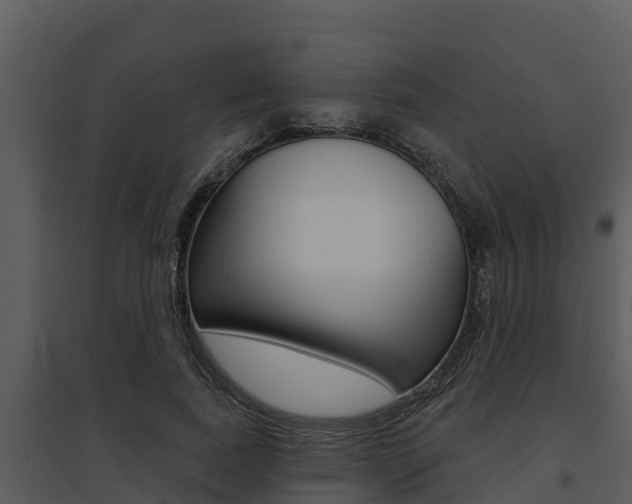 X0000095680739200801081102