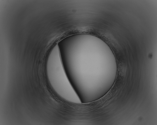 X0000095680740200801081102