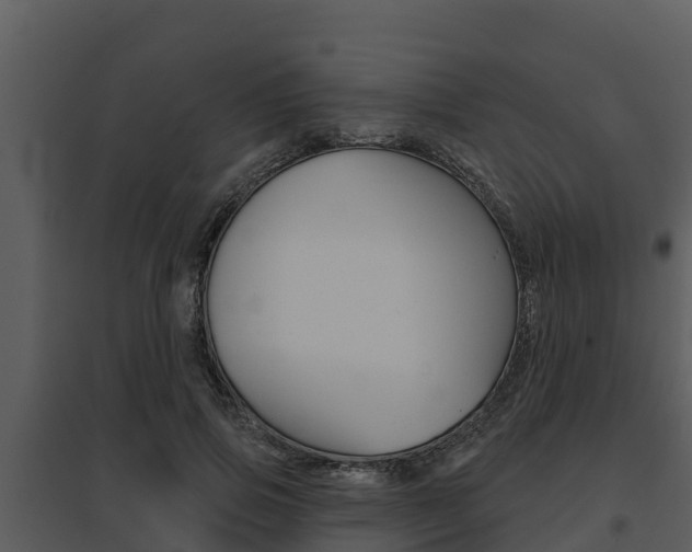 X0000095680741200801081102