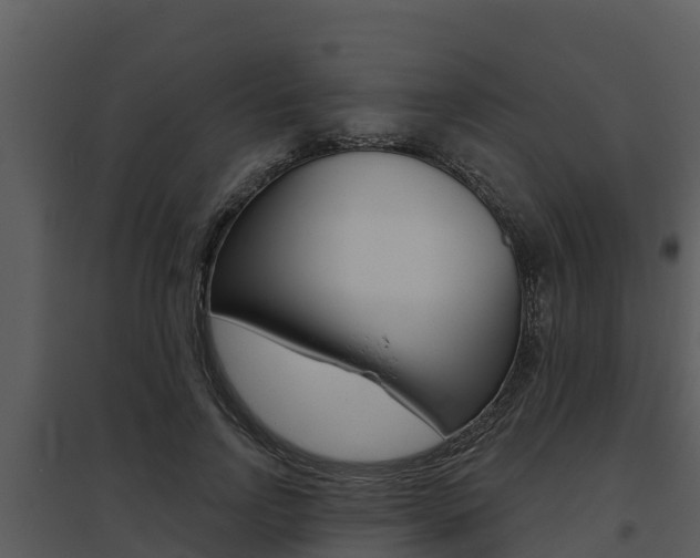 X0000095680742200801081102