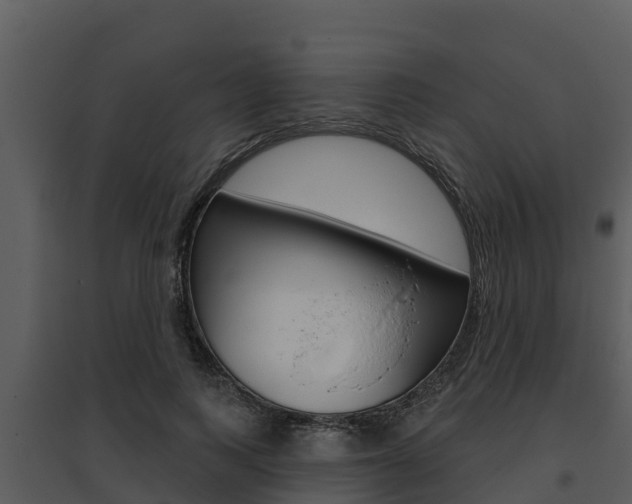 X0000095680743200801081102
