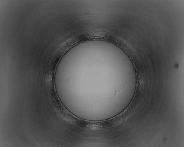 X0000095680745200801081102