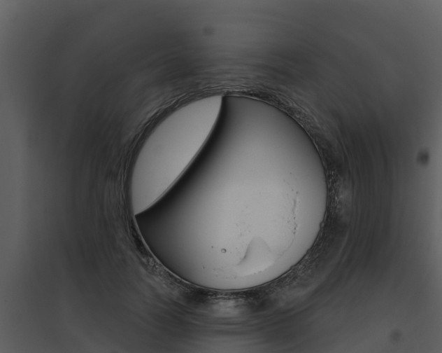 X0000095680746200801081102