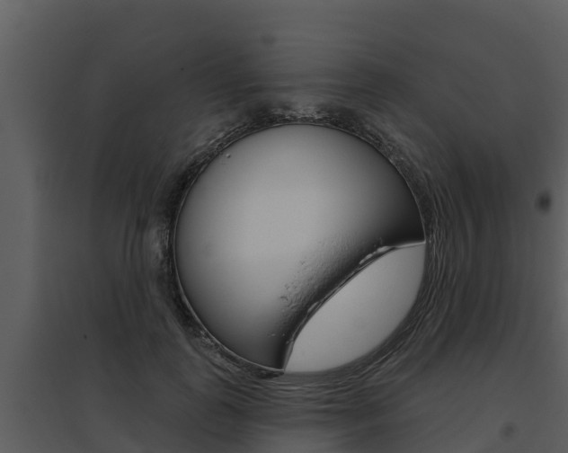 X0000095680747200801081102