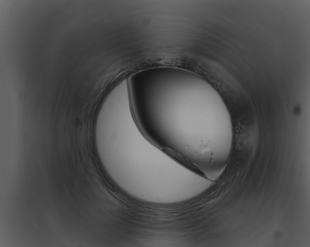 X0000095680748200801081102