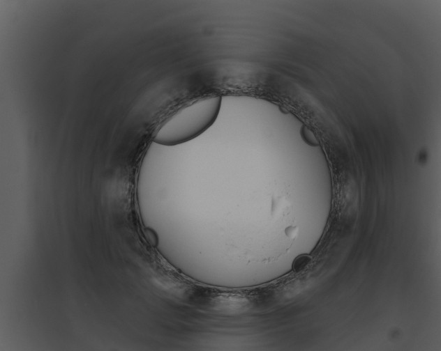 X0000095680749200801081102